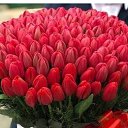 ���� �����, �������, 67 ��� - ��������� 4 ������� 2023 � ������ ���� ����������