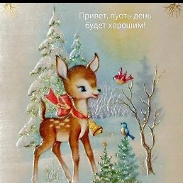 �����, ������, 46 ���