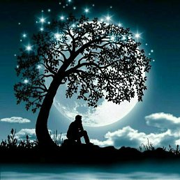 ���� Shodiyor, �����������, 47 ��� - ��������� 17 �������� 2023