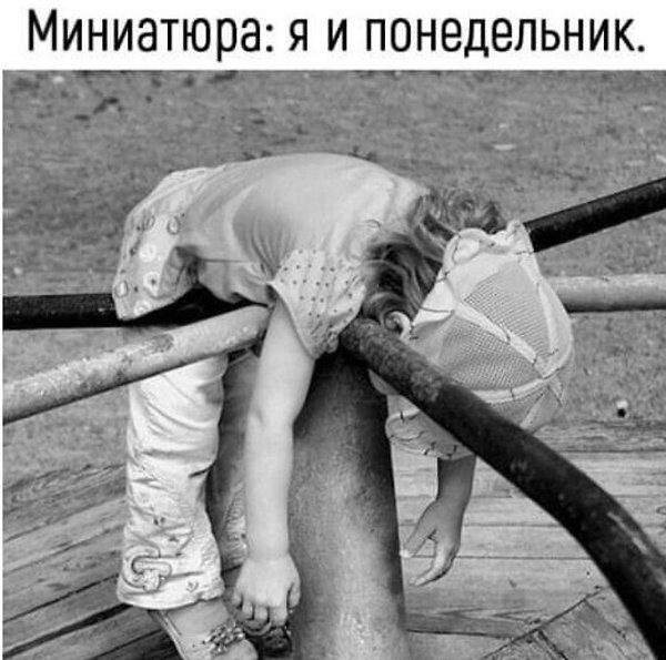   - 6  2023  19:50