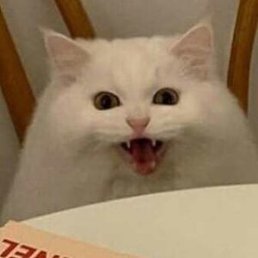 Ը���, ������, 24 ����