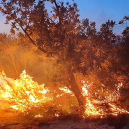 Smoki_mod, ������, 25 ���