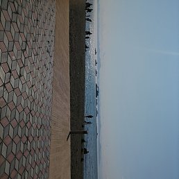 ������, ������, 41 ���