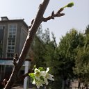 ���� ������ �������, �������, 67 ��� - ��������� 22 �������� 2023 � ������ �������