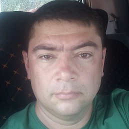 ������, ��������, 44 ����