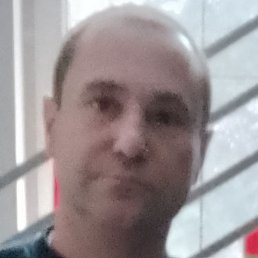 ����, ������, 46 ���