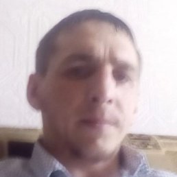 �������, ������, 36 ���