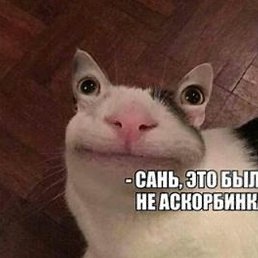 ����, �������, 21 ���