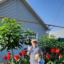 ���, ���, 63 ����