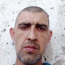 ���, �������, 40 ���