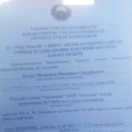 ���� ����, �����, 55 ��� - ��������� 11 ����� 2023