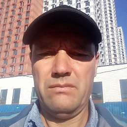 �����������, ������, 49 ���