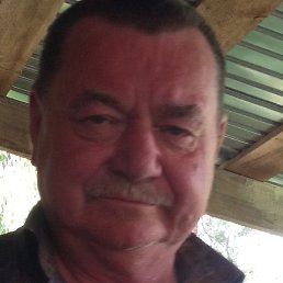 ����, ������, 66 ���