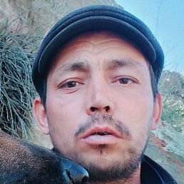 ����, ������, 37 ���