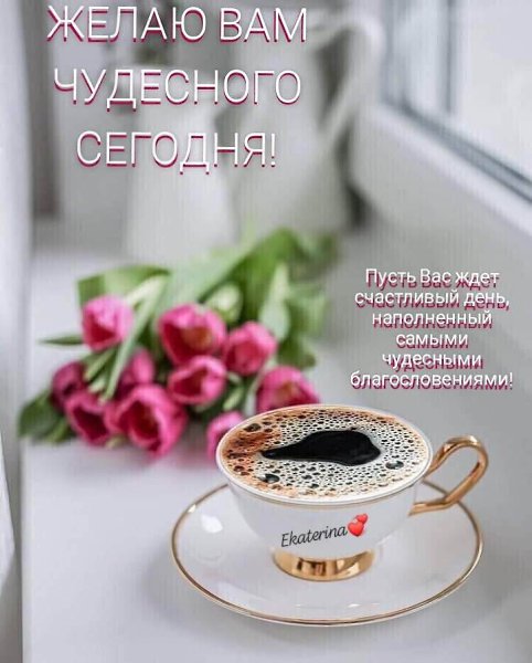  ! - 16  2023  09:59