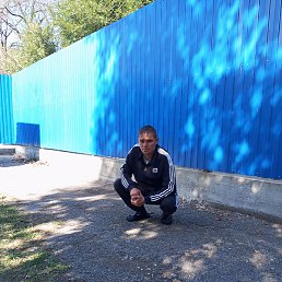 ��������, ������, 41 ���