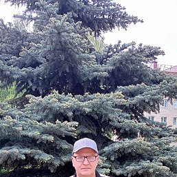 ������, ���, 49 ���