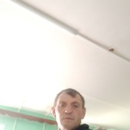 ������, ������, 49 ���