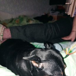 �����, �����������, 67 ���