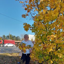 ������, ������, 54 ����