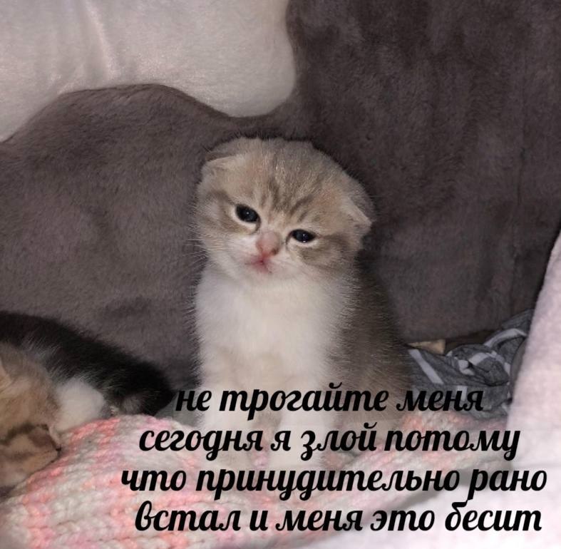    - 19  2023  22:28