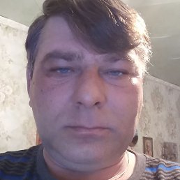 ����, ���������, 49 ���