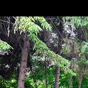 ���� �����, ����������, 30 ��� - ��������� 3 ������� 2023 � ������ ���� ����������