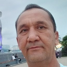 �����, �������, 49 ���