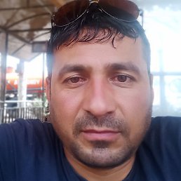 �����, ������, 40 ���