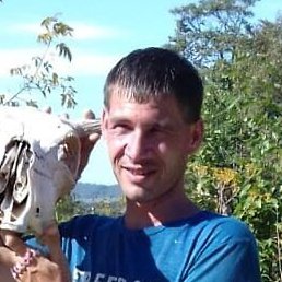 ������� �����, ������, 40 ���