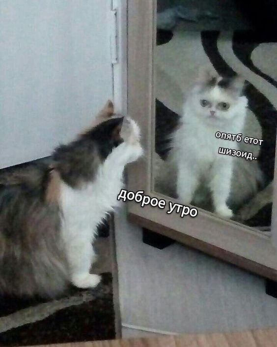    7:30   VS ,   2  
