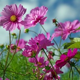 ���� Anton, ������, 22 ���� - ��������� 30 �������� 2023