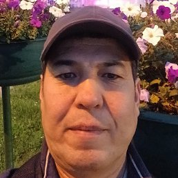 �����, ��������, 49 ���