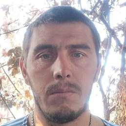 �������, �������, 38 ���