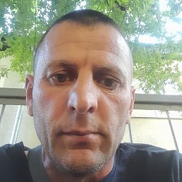 , , 44 
