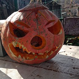 �������, ����������, 48 ���