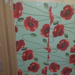 Fazil, ������, 38 ���