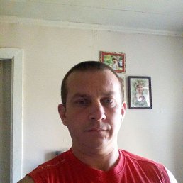 ���� �������, ���������, 50 ��� - ��������� 1 ������ 2023