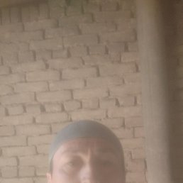 ��������, �������, 39 ���