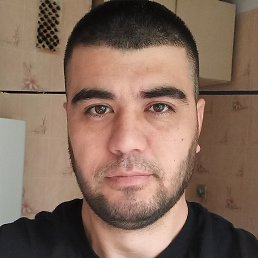 �����, �������, 37 ���