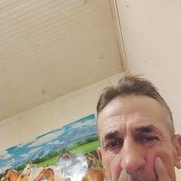 �����, ��������, 46 ���