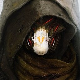 ���������, ��������, 35 ���