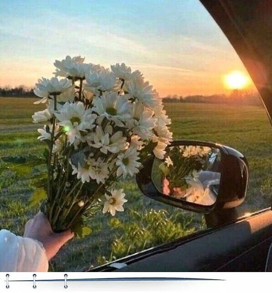 Все в жизни просто, надо лишь понять: Ее не стоит слишком усложнять! Минутой каждой, мигом дорожить, ...