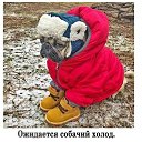 ���� �������, ������, 59 ��� - ��������� 8 ������� 2023 � ������ ���� ����������