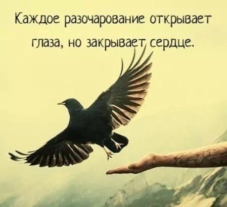   - 3  2023  15:36