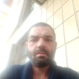 �������., ��������, 41 ���