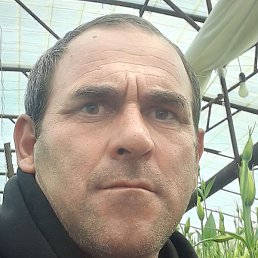 �����, ������, 49 ���