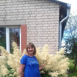 ��������, ����, 66 ���