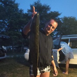 ���� �������, ������, 46 ��� - ��������� 2 ����� 2023