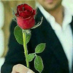 ������, �����, 37 ���